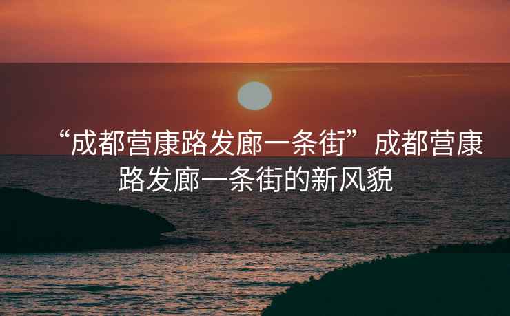 “成都營(yíng)康路發(fā)廊一條街”成都營(yíng)康路發(fā)廊一條街的新風(fēng)貌