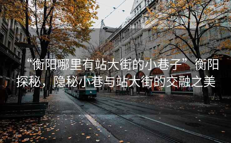 “衡陽哪里有站大街的小巷子”衡陽探秘，隱秘小巷與站大街的交融之美