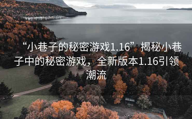 “小巷子的秘密游戲1.16”揭秘小巷子中的秘密游戲，全新版本1.16引領潮流