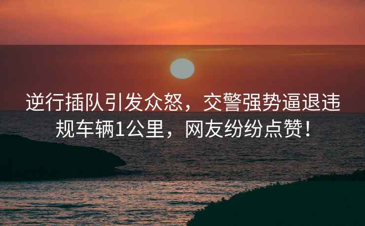 逆行插隊引發眾怒，交警強勢逼退違規車輛1公里，網友紛紛點贊！
