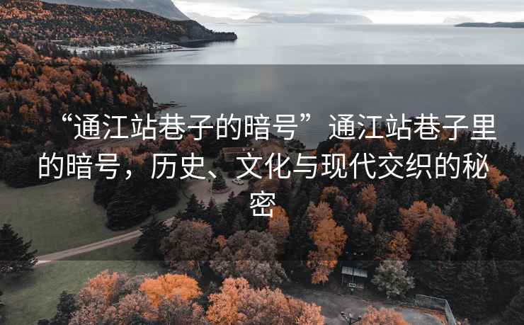 “通江站巷子的暗號(hào)”通江站巷子里的暗號(hào)，歷史、文化與現(xiàn)代交織的秘密
