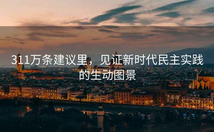 311萬條建議里，見證新時代民主實踐的生動圖景