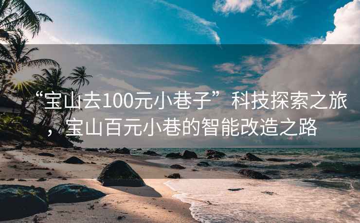 “寶山去100元小巷子”科技探索之旅，寶山百元小巷的智能改造之路