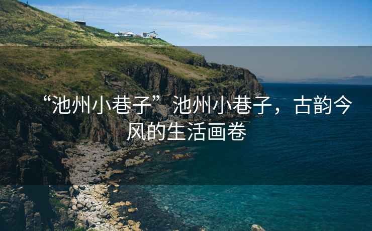 “池州小巷子”池州小巷子，古韻今風的生活畫卷