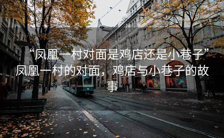 “鳳凰一村對面是雞店還是小巷子”鳳凰一村的對面，雞店與小巷子的故事