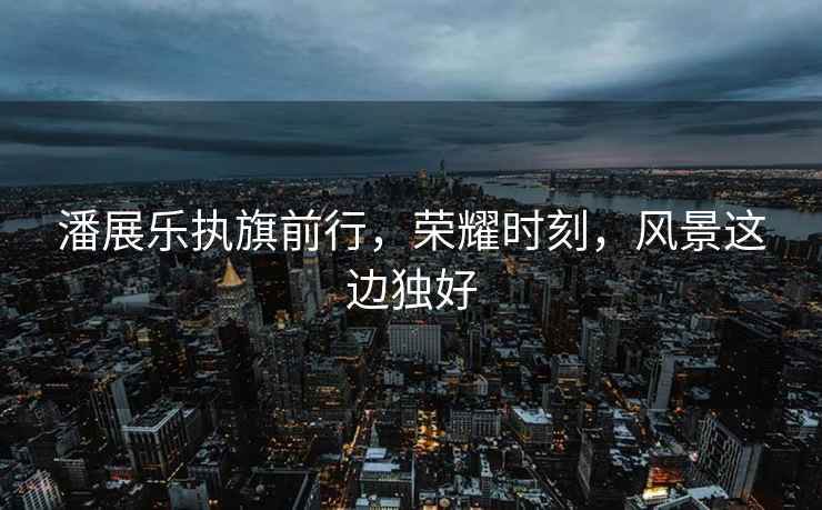 潘展樂執旗前行，榮耀時刻，風景這邊獨好