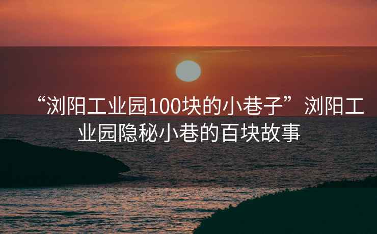“瀏陽工業園100塊的小巷子”瀏陽工業園隱秘小巷的百塊故事