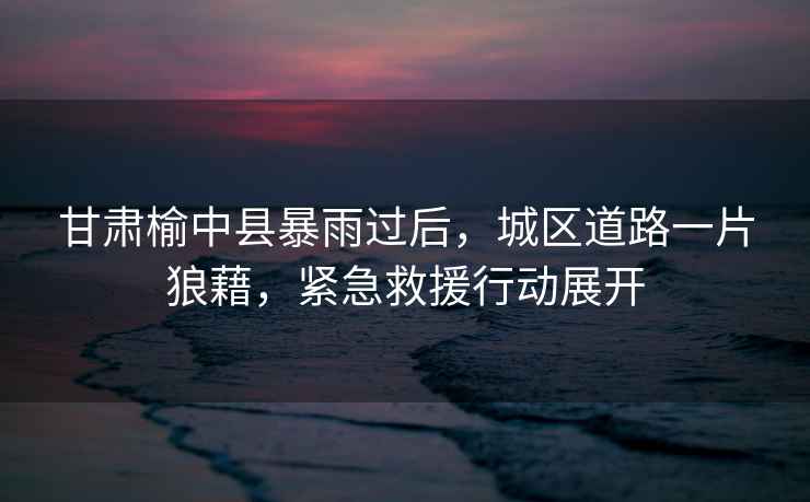 甘肅榆中縣暴雨過后，城區道路一片狼藉，緊急救援行動展開