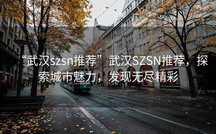 “武漢szsn推薦”武漢SZSN推薦，探索城市魅力，發現無盡精彩