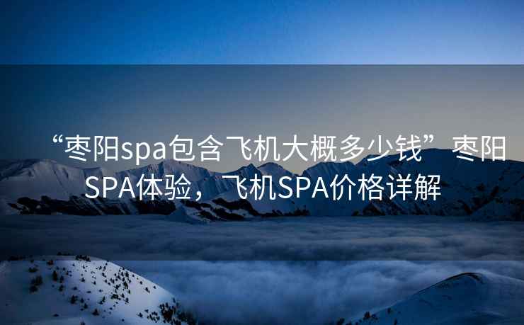 “棗陽spa包含飛機大概多少錢”棗陽SPA體驗，飛機SPA價格詳解