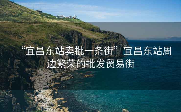 “宜昌東站賣批一條街”宜昌東站周邊繁榮的批發貿易街