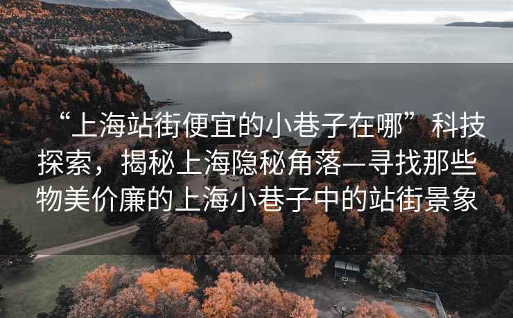 “上海站街便宜的小巷子在哪”科技探索，揭秘上海隱秘角落—尋找那些物美價廉的上海小巷子中的站街景象