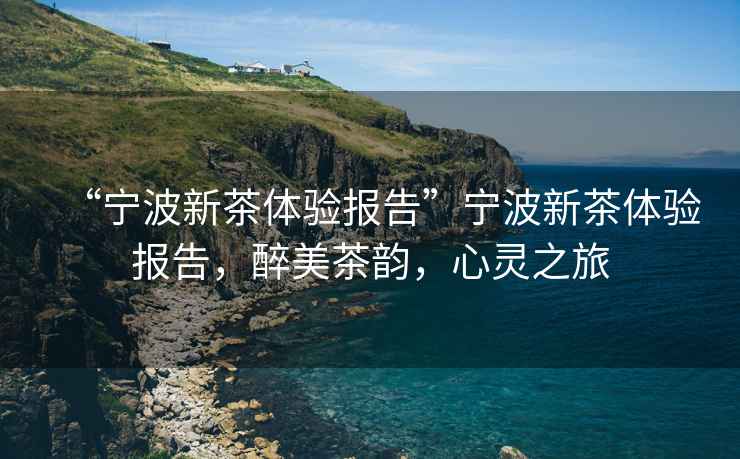 “寧波新茶體驗報告”寧波新茶體驗報告，醉美茶韻，心靈之旅