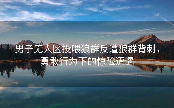 男子無人區投喂狼群反遭狼群背刺，勇敢行為下的驚險遭遇