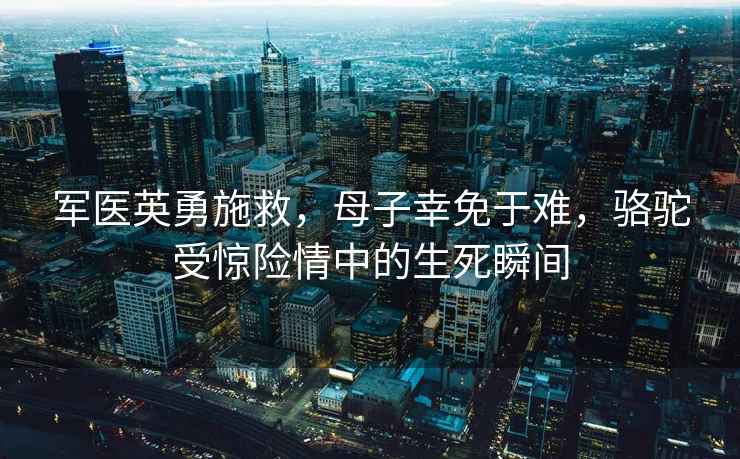 軍醫(yī)英勇施救，母子幸免于難，駱駝受驚險(xiǎn)情中的生死瞬間