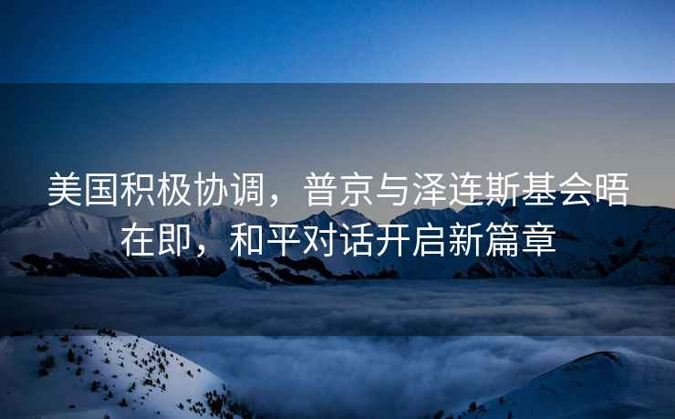 美國積極協(xié)調(diào)，普京與澤連斯基會晤在即，和平對話開啟新篇章