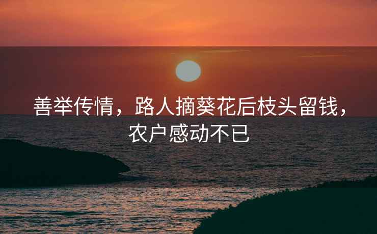 善舉傳情，路人摘葵花后枝頭留錢，農戶感動不已