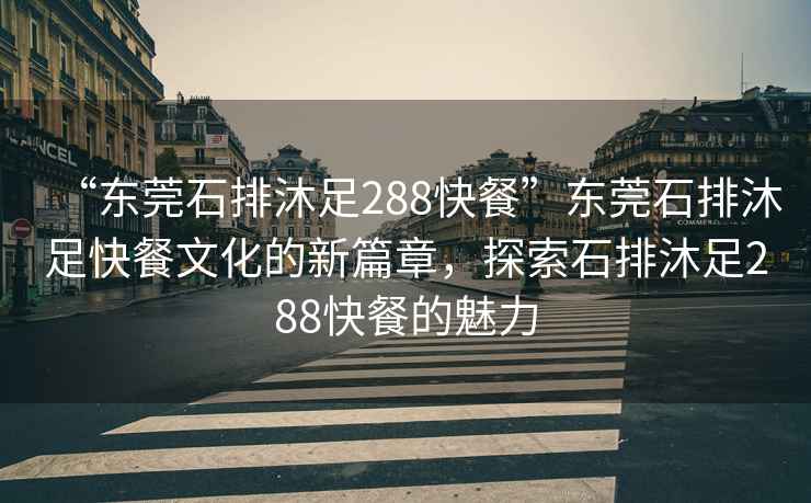 “東莞石排沐足288快餐”東莞石排沐足快餐文化的新篇章，探索石排沐足288快餐的魅力