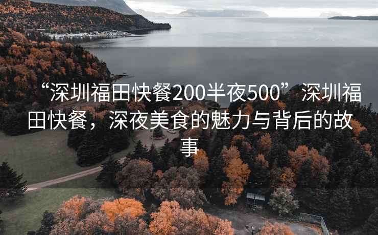 “深圳福田快餐200半夜500”深圳福田快餐，深夜美食的魅力與背后的故事