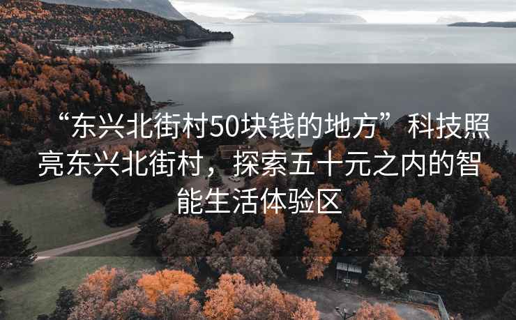 “東興北街村50塊錢的地方”科技照亮東興北街村，探索五十元之內的智能生活體驗區