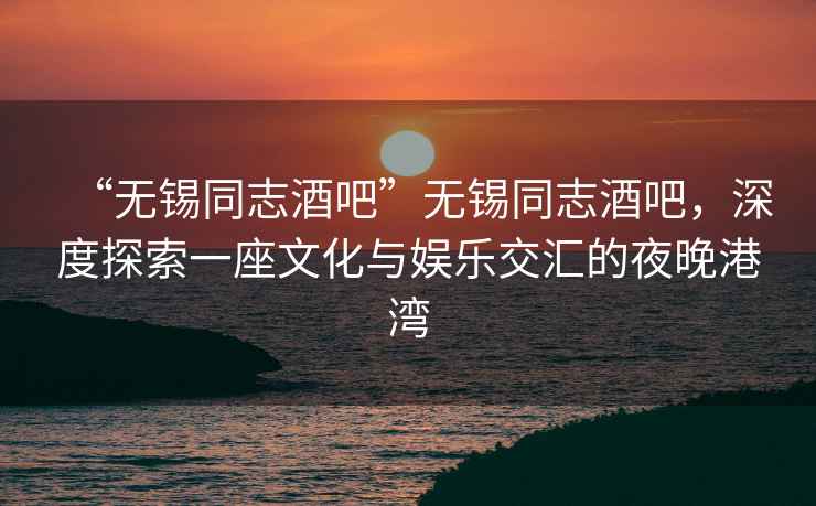 “無(wú)錫同志酒吧”無(wú)錫同志酒吧，深度探索一座文化與娛樂(lè)交匯的夜晚港灣