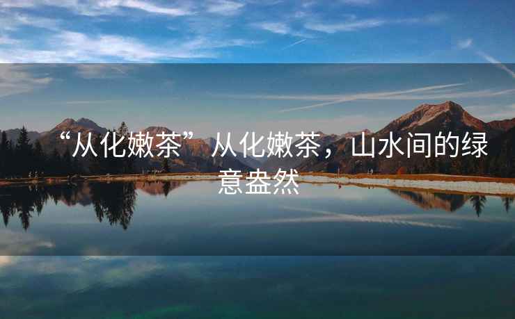 “從化嫩茶”從化嫩茶，山水間的綠意盎然