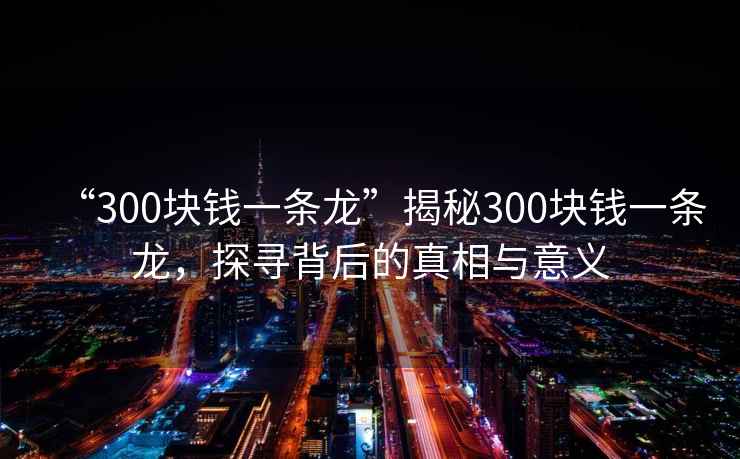 “300塊錢(qián)一條龍”揭秘300塊錢(qián)一條龍，探尋背后的真相與意義