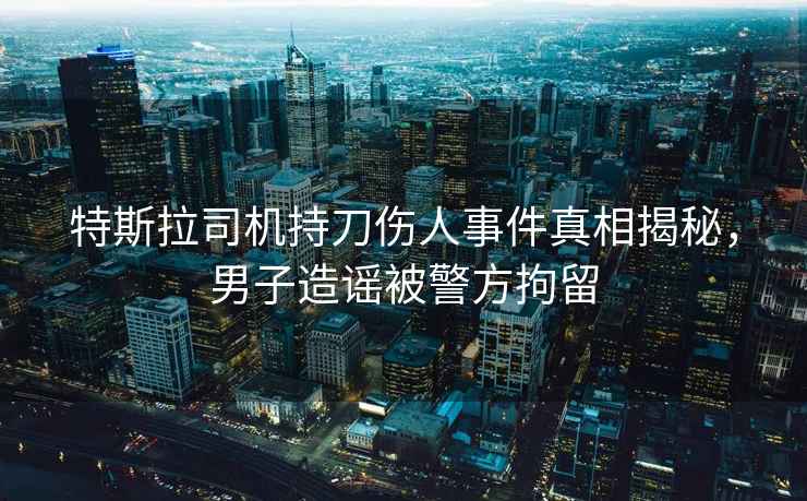 特斯拉司機持刀傷人事件真相揭秘，男子造謠被警方拘留