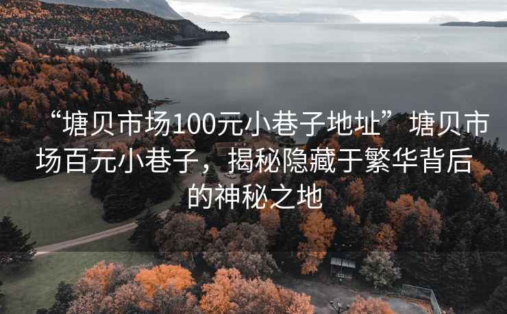 “塘貝市場100元小巷子地址”塘貝市場百元小巷子，揭秘隱藏于繁華背后的神秘之地