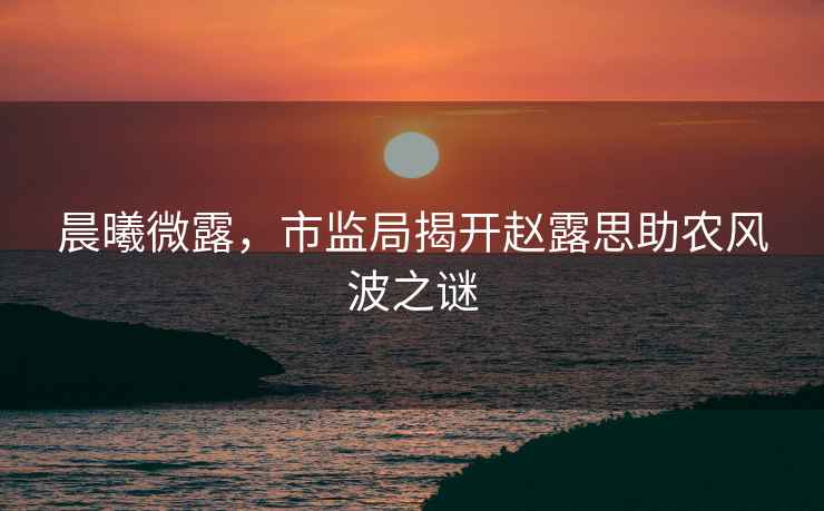晨曦微露，市監局揭開趙露思助農風波之謎