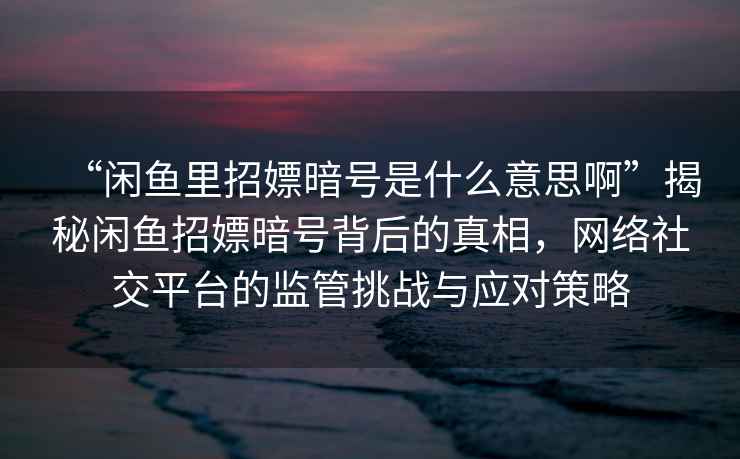 “閑魚里招嫖暗號是什么意思啊”揭秘閑魚招嫖暗號背后的真相，網(wǎng)絡(luò)社交平臺的監(jiān)管挑戰(zhàn)與應(yīng)對策略