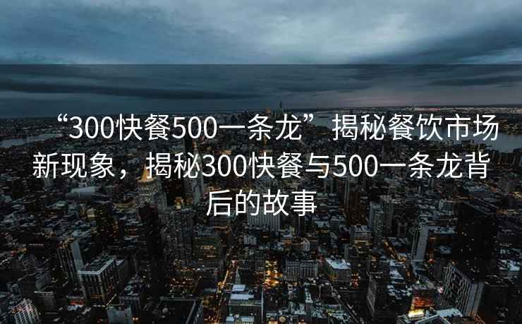 “300快餐500一條龍”揭秘餐飲市場新現(xiàn)象，揭秘300快餐與500一條龍背后的故事