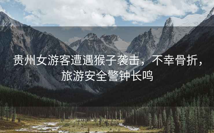 貴州女游客遭遇猴子襲擊，不幸骨折，旅游安全警鐘長鳴