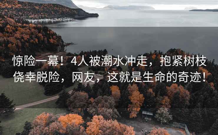 驚險一幕！4人被潮水沖走，抱緊樹枝僥幸脫險，網(wǎng)友，這就是生命的奇跡！