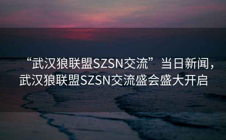 “武漢狼聯盟SZSN交流”當日新聞，武漢狼聯盟SZSN交流盛會盛大開啟