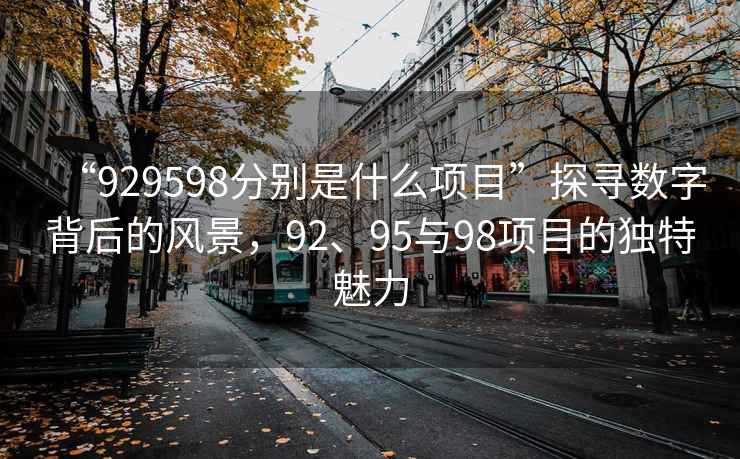 “929598分別是什么項目”探尋數字背后的風景，92、95與98項目的獨特魅力