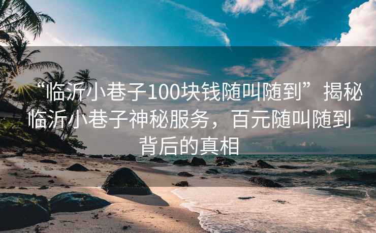 “臨沂小巷子100塊錢隨叫隨到”揭秘臨沂小巷子神秘服務(wù)，百元隨叫隨到背后的真相