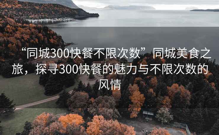 “同城300快餐不限次數”同城美食之旅，探尋300快餐的魅力與不限次數的風情