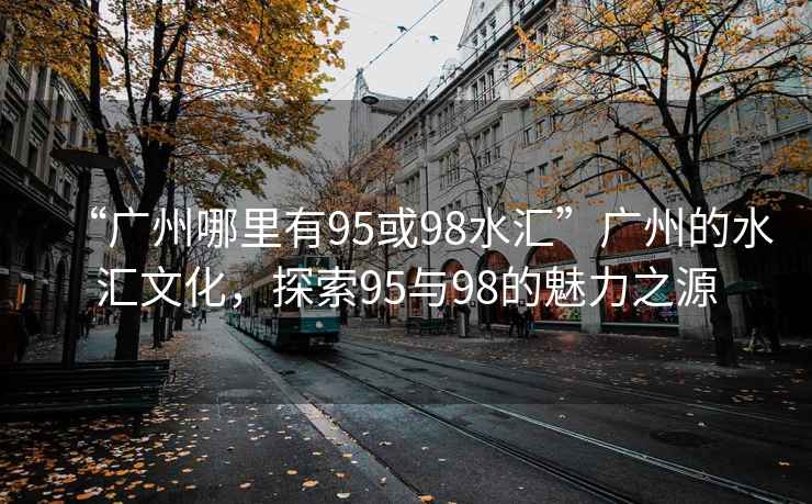“廣州哪里有95或98水匯”廣州的水匯文化，探索95與98的魅力之源