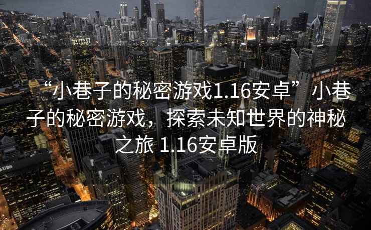 “小巷子的秘密游戲1.16安卓”小巷子的秘密游戲，探索未知世界的神秘之旅 1.16安卓版