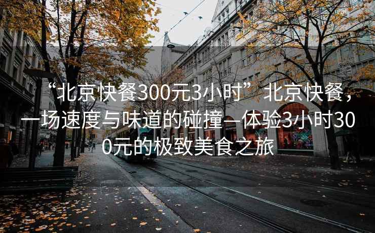 “北京快餐300元3小時(shí)”北京快餐，一場速度與味道的碰撞—體驗(yàn)3小時(shí)300元的極致美食之旅