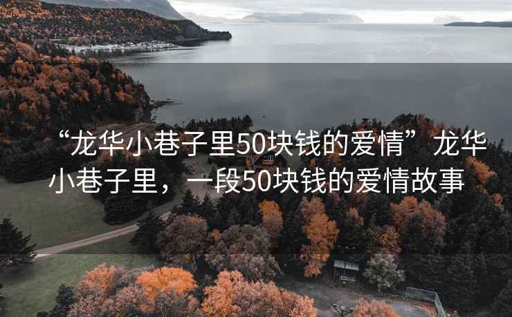 “龍華小巷子里50塊錢的愛情”龍華小巷子里，一段50塊錢的愛情故事
