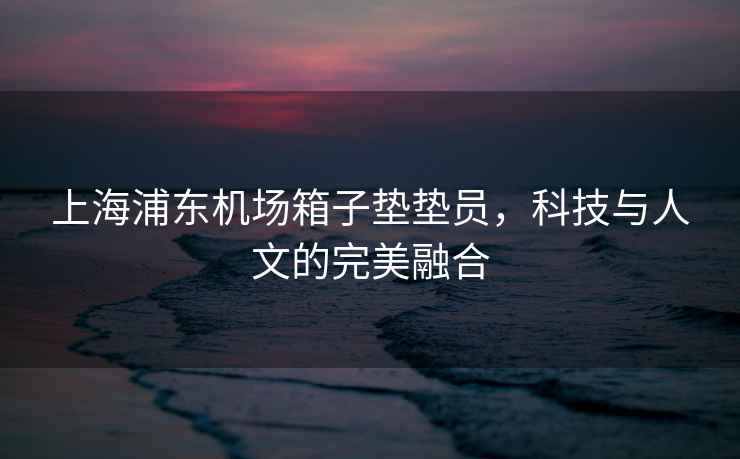 上海浦東機場箱子墊墊員，科技與人文的完美融合