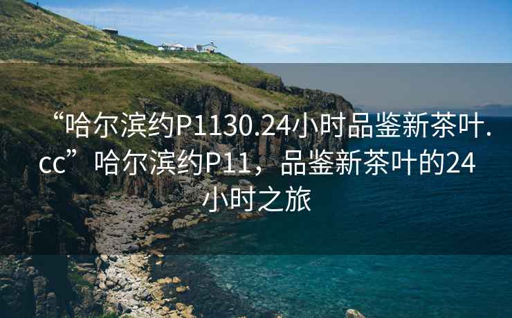 “哈爾濱約P1130.24小時品鑒新茶葉.cc”哈爾濱約P11，品鑒新茶葉的24小時之旅