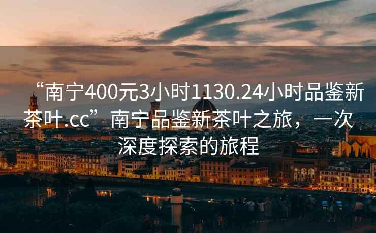 “南寧400元3小時(shí)1130.24小時(shí)品鑒新茶葉.cc”南寧品鑒新茶葉之旅，一次深度探索的旅程