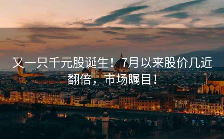 又一只千元股誕生！7月以來(lái)股價(jià)幾近翻倍，市場(chǎng)矚目！