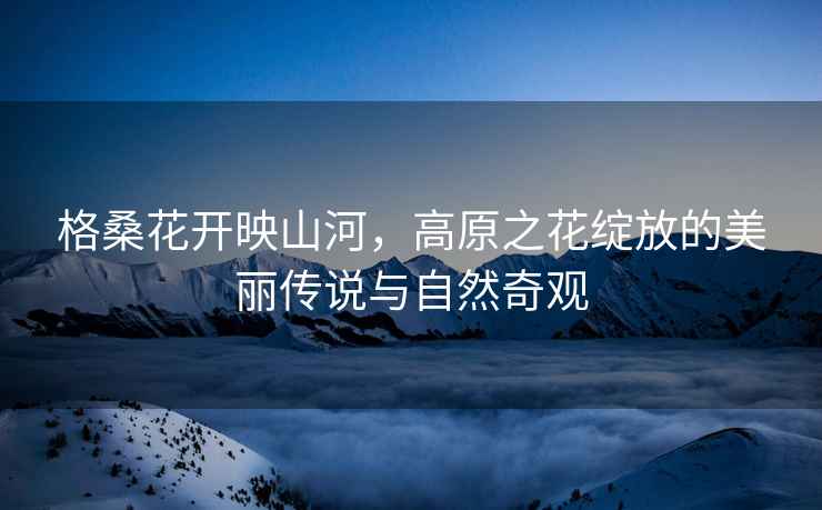 格?；ㄩ_映山河，高原之花綻放的美麗傳說與自然奇觀