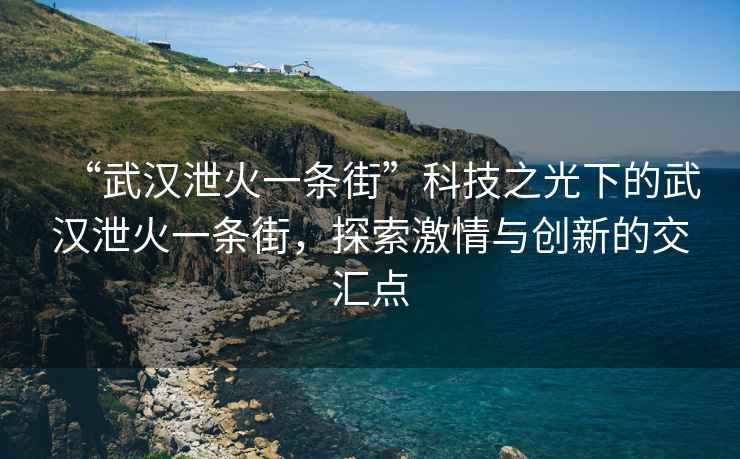 “武漢泄火一條街”科技之光下的武漢泄火一條街，探索激情與創(chuàng)新的交匯點