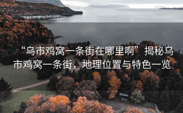 “烏市雞窩一條街在哪里啊”揭秘烏市雞窩一條街，地理位置與特色一覽