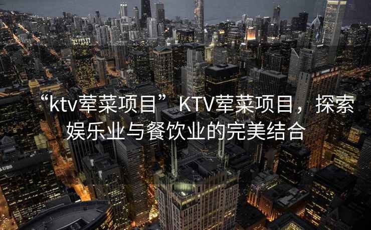 “ktv葷菜項目”KTV葷菜項目，探索娛樂業與餐飲業的完美結合